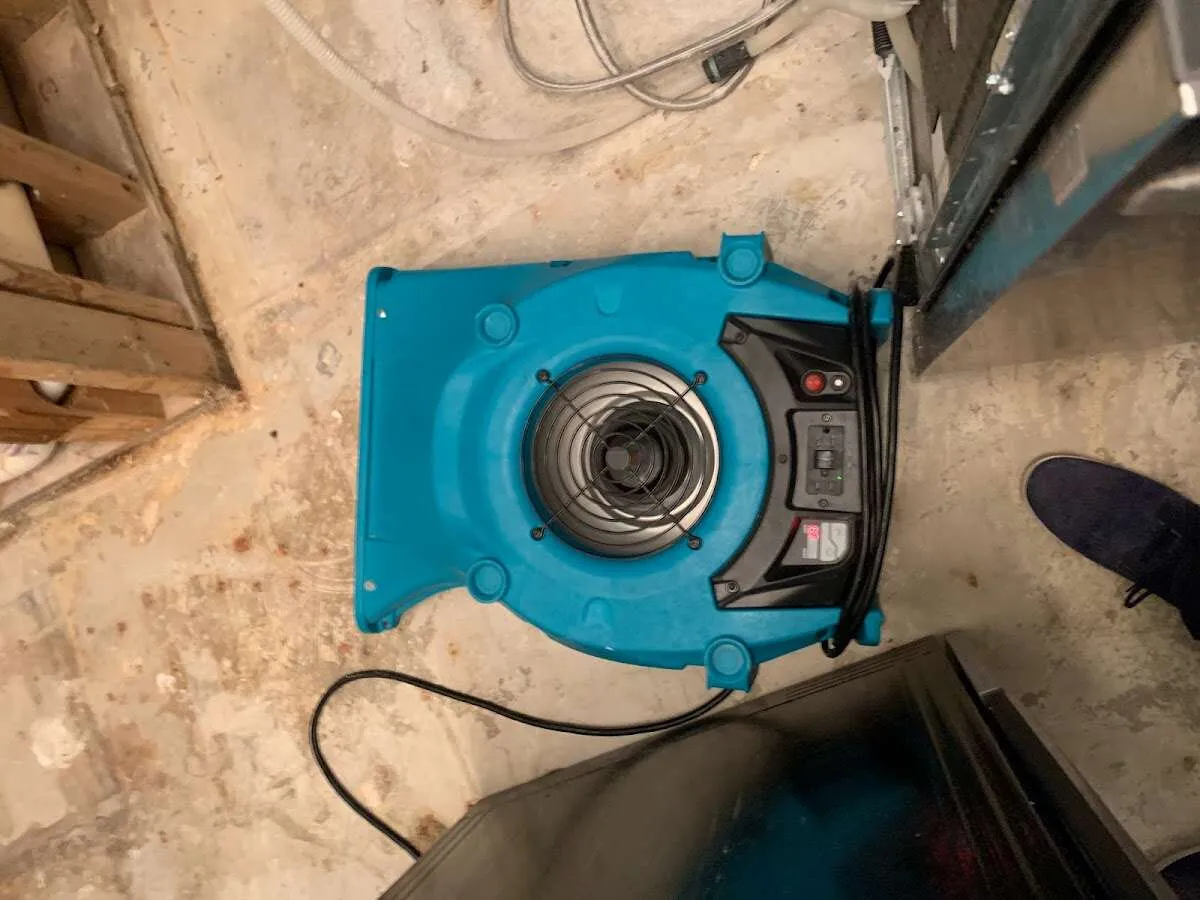 Air mover drying equipment for Mold Remediation & Removal in Frankstown